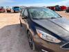 2016 Ford Focus - 13