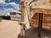 Shop Made Gooseneck Livestock Trailer - 7