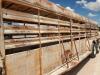Shop Made Gooseneck Livestock Trailer - 10