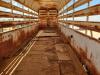 Shop Made Gooseneck Livestock Trailer - 18