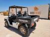 2008 Joyner Renegade R2 UTV - 3