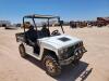 2008 Joyner Renegade R2 UTV - 7