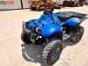 XPress 300 Atv 4-Wheeler - 6
