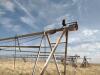 Zimmatic Pivot - 33
