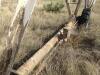 Zimmatic Pivot - 52
