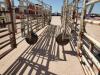 Wilson Portable Corral w/ Calf Alleyway - 9