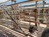 Wilson Portable Corral w/ Calf Alleyway - 13