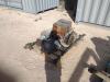 Tuthill Blower - 3